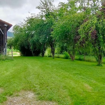 Villa Superbe Demeure Au Coeur Des Pyrenees Ariegeoises à Montels  Extérieur photo